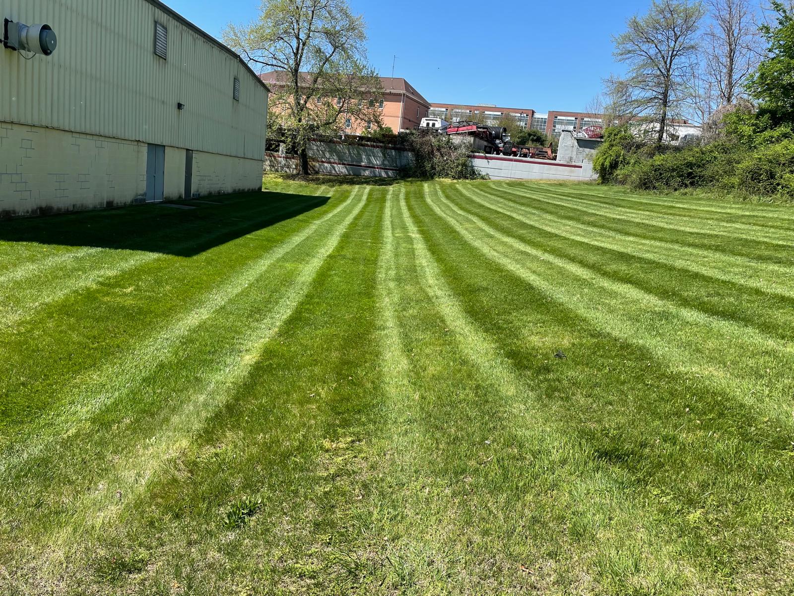 Freshly mowed commercial lawn with alternating grass stripes alongside a large building.